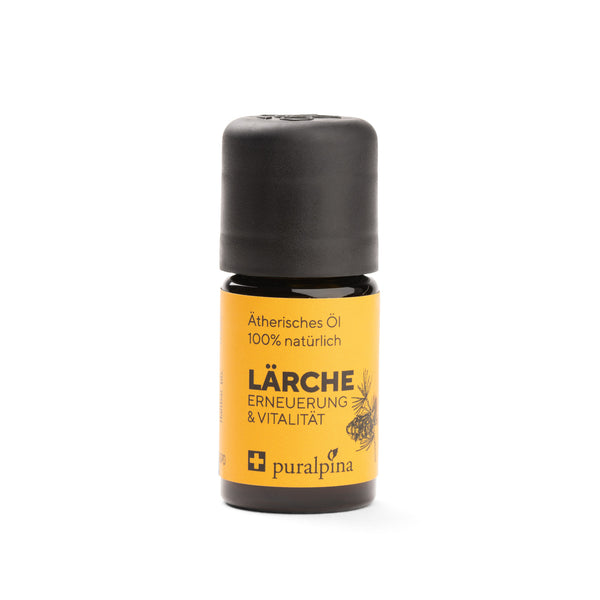 Larch essential oil