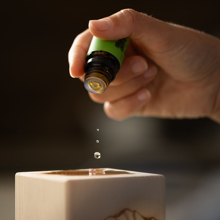 Coffret cadeau aux senteurs de la forêt