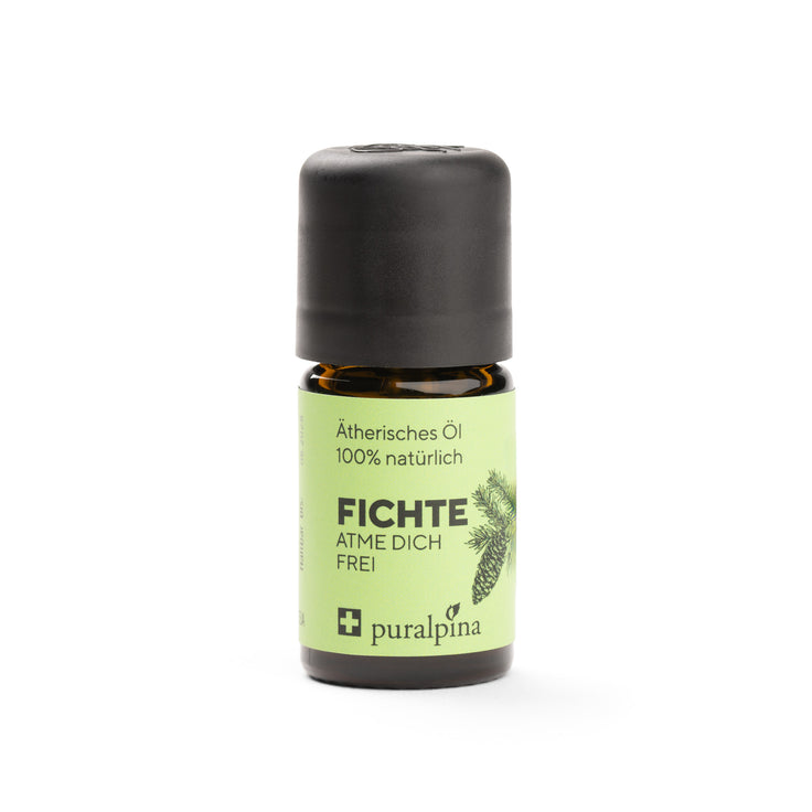 Spruce essential oil