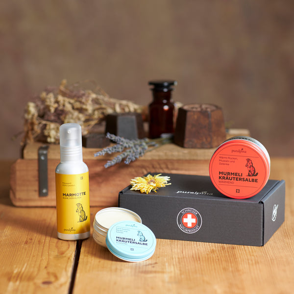 Murmeli-Set mittel