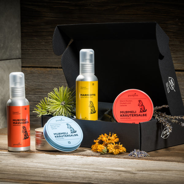 Grand ensemble marmotte